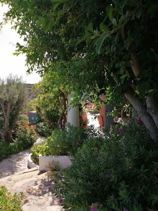 Casa Dei Melograni At Vourlidia Leros Villa Vromolithos Bagian luar foto